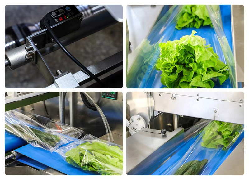 HY-680蔬菜包裝機機械細節(jié)